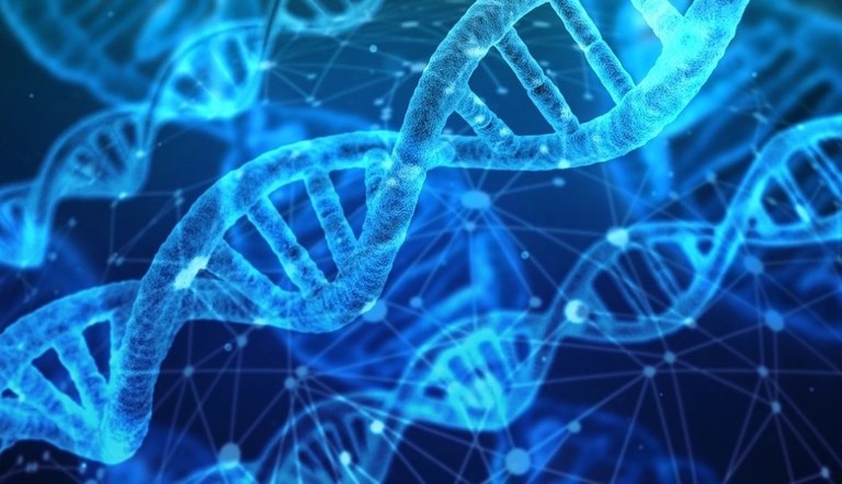 Sexu jokabideaz burutu den ikerketarik handienak ondorioztatu du “gene gay-a” ez dela existitzen Sexu jokabideaz burutu den ikerketarik handienak ondorioztatu du “gene gay-a” ez dela existitzen