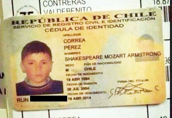 Shakes, artista! Shakes, artista!