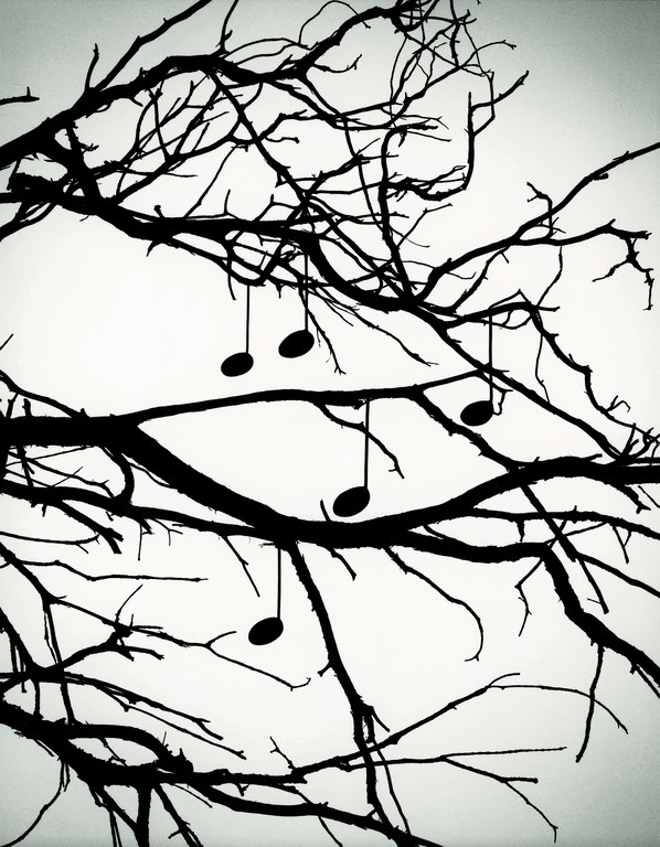 Sin titulo 2004 © Chema Madoz, VEGAP 2022.jpg