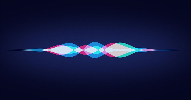 Siri poliziaren abusuen aurka Siri poliziaren abusuen aurka