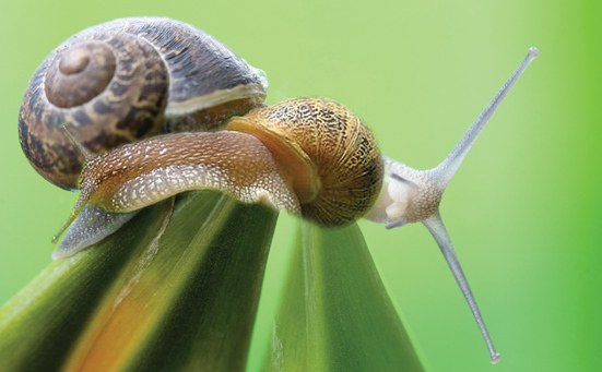Slow sex Slow sex