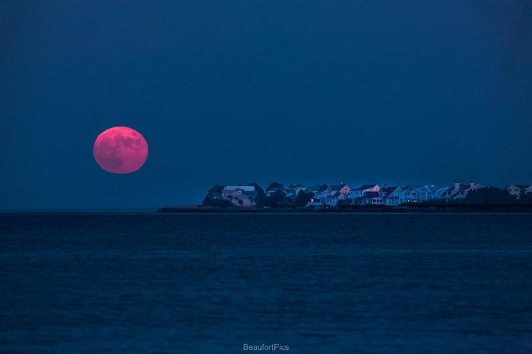 supermoonharbor.jpg
