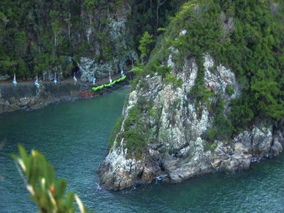 The cove The cove