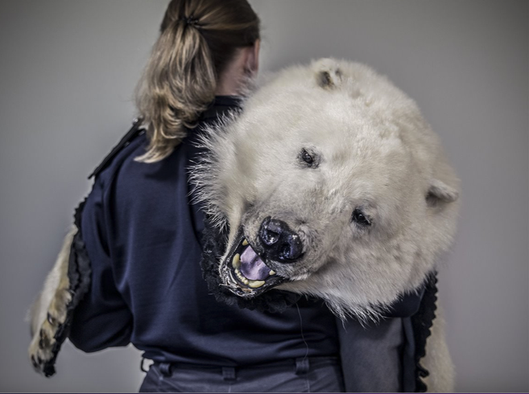 Captura de Pantalla 2022-07-04 a las 13.20.37.png