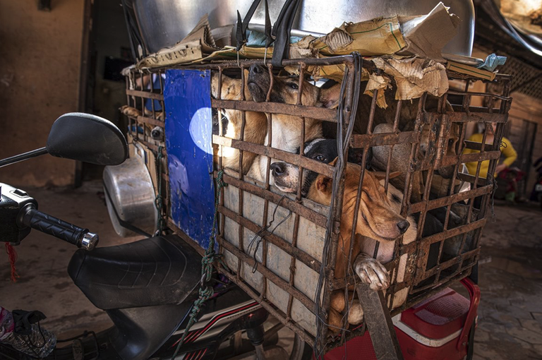 Captura de Pantalla 2022-07-04 a las 13.28.36.png