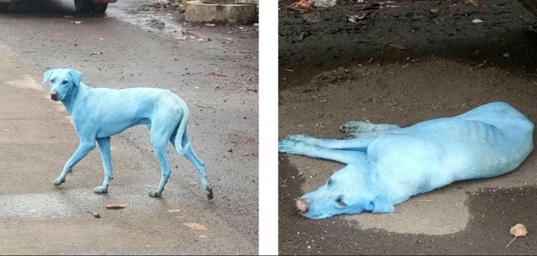 Captura de pantalla 2017-08-18 a las 13.26.34.png