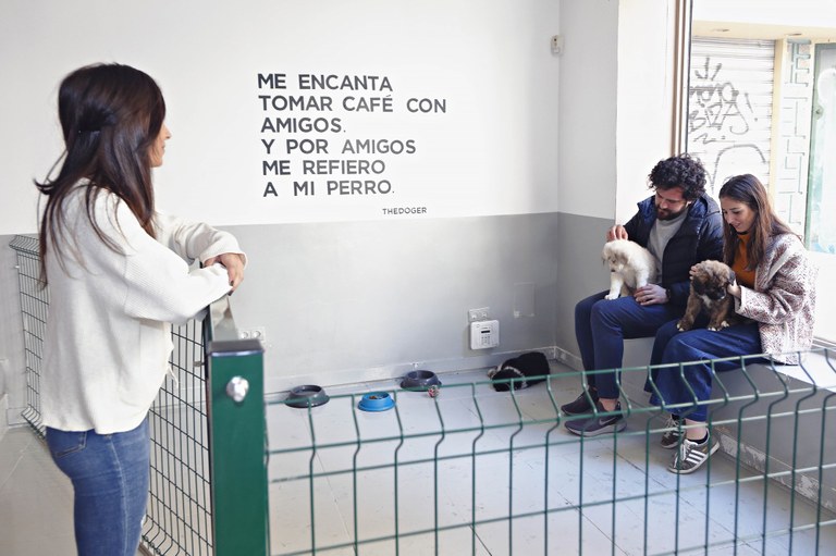 TXAKURKUMEAK ADOPTATU DAITEZKE KAFETEGI HONETAN TXAKURKUMEAK ADOPTATU DAITEZKE KAFETEGI HONETAN