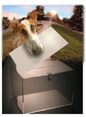 Txakurra boto-emaile? Txakurra boto-emaile?