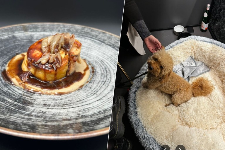 Txakurrentzako lehen jatetxeak bere ateak ireki ditu Erroman