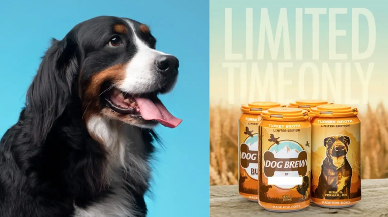 Txakurrentzat indioilar zaporeko garagardoa