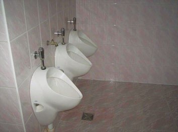 Txizatoki lapurra Txizatoki lapurra