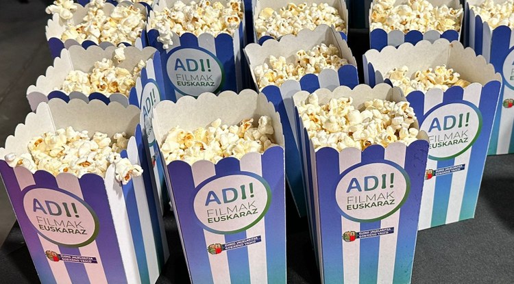 Urtean 24 film ikusi ahal izango dira euskaraz zinemetan