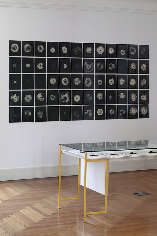 Vista de Nature Change_2019_02_21_017_S_s.jpg