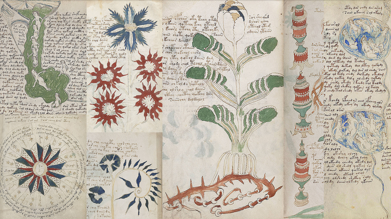 Voynich eskuizkribuaren misterioa Voynich eskuizkribuaren misterioa