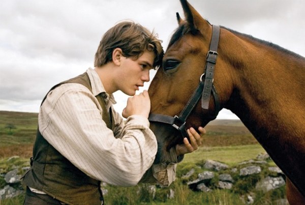 War horse War horse