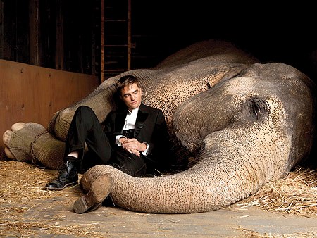 Water for elephants Water for elephants