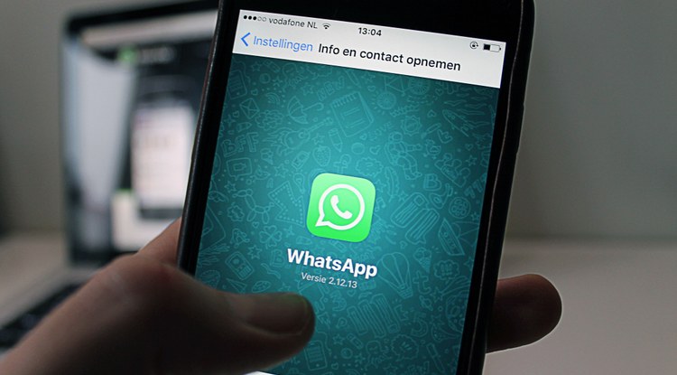 Whatsapp-eko taldeko kide berriei azken mezuen historia bidaltzeko aukera izango duzu