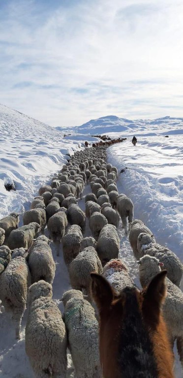 WhatsApp Image 2020-07-27 at 09.32.08 (1).jpeg