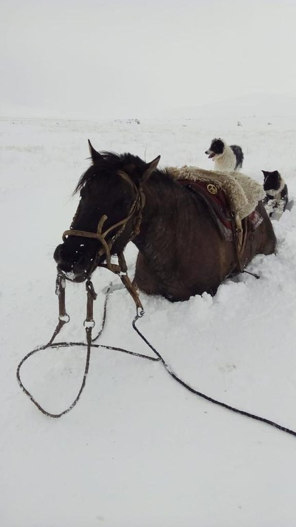 WhatsApp Image 2020-07-27 at 09.32.08 (2).jpeg