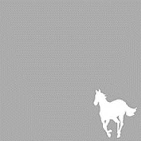 White pony White pony