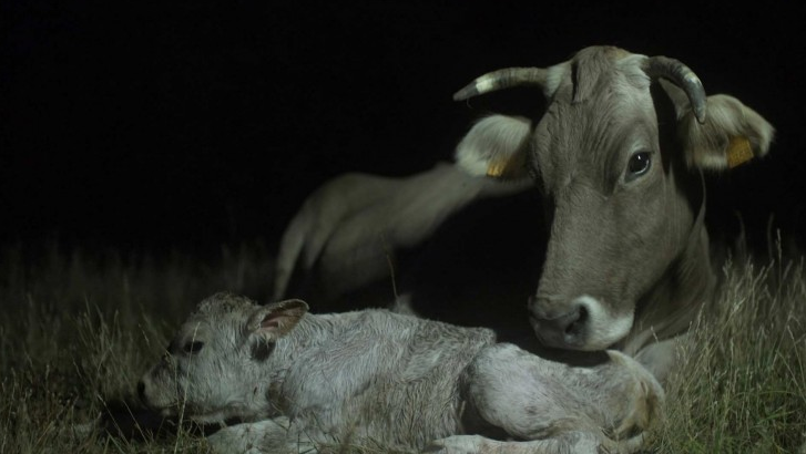 Captura de pantalla 2018-09-14 a las 10.20.59.png