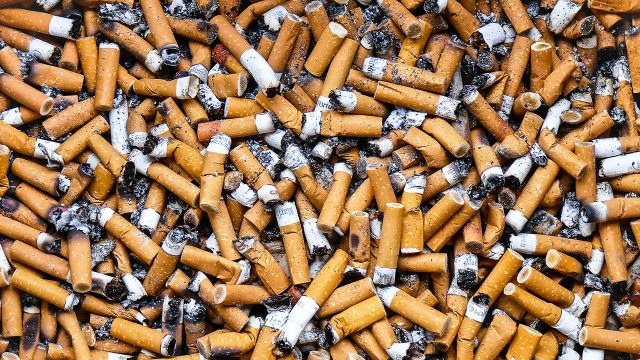 Zigarro-puntak debekatzea ingurugiroa salbatzeko Zigarro-puntak debekatzea ingurugiroa salbatzeko