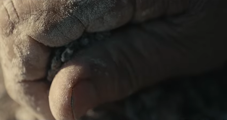 Zinema eta ingurumeneko ‘Ecozine’ jaialdia datorren astean izango da