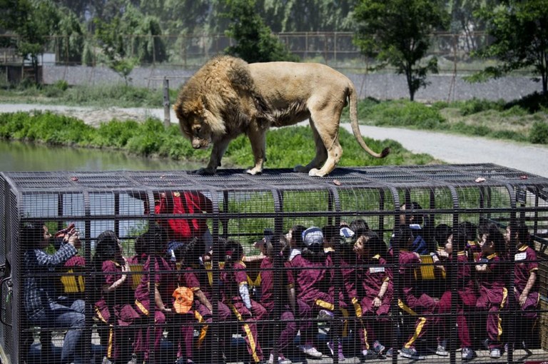Zoo honek kaioletan sartzen du jendea animaliak aske dauden bitartean Zoo honek kaioletan sartzen du jendea animaliak aske dauden bitartean