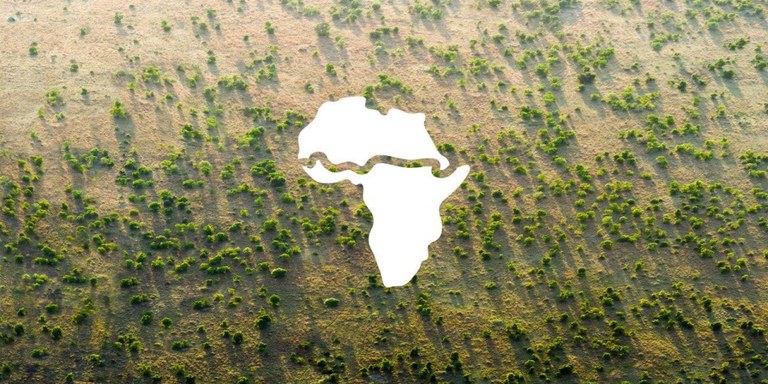 ZORTZI KILOMETROKO ZUHAIZTIA AFRIKA (ETA MUNDUA) SALBATZEKO ZORTZI KILOMETROKO ZUHAIZTIA AFRIKA (ETA MUNDUA) SALBATZEKO