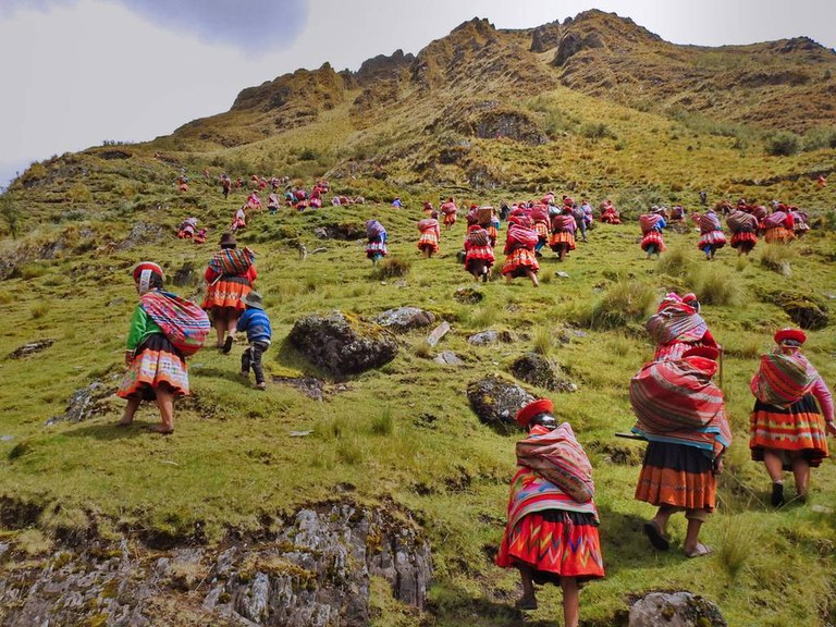 Zuhaitzez zuhaitz, komunitate indigenek, Andeak oihanberritu dituzte