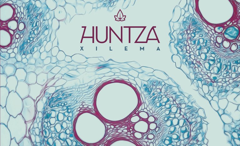 Huntzaren 'Xilema' diskoa eskuratu nahi? Huntzaren 'Xilema' diskoa eskuratu nahi?