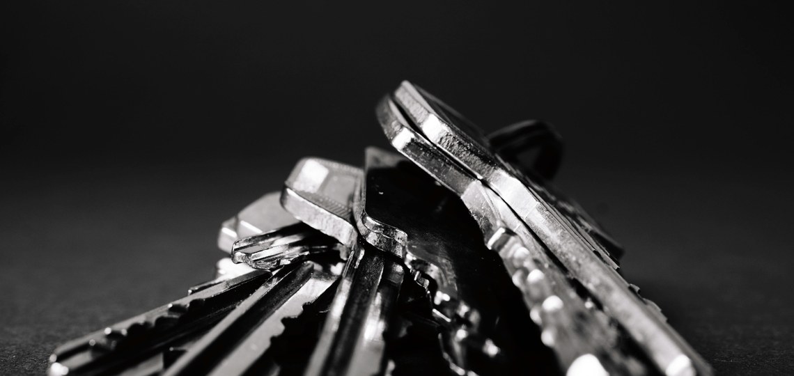 ETXETIK ATERA AURRETIK EGITEN DITUGUN GAUZAK